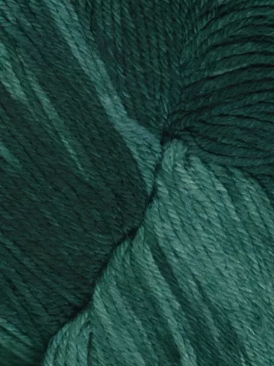 Araucania Huasco Sock Kettle Dyes 1016