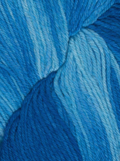 Araucania Huasco Sock Kettle Dyes 1014