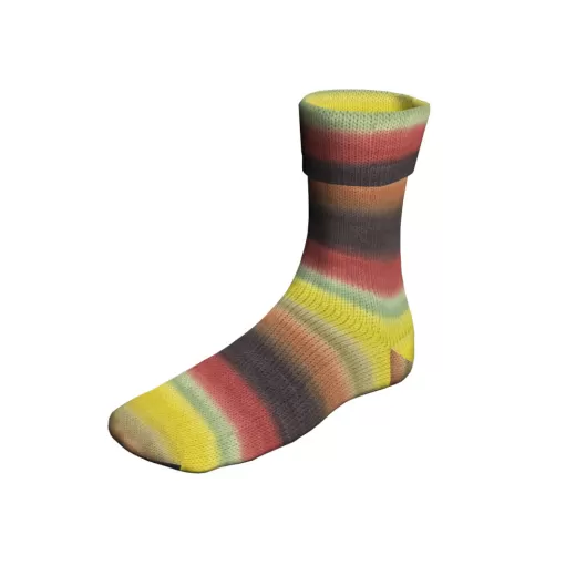 Lang Yarns Super Soxx Color 6-fach - Smash