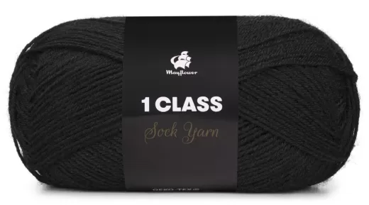 Mayflower 1 Class 19