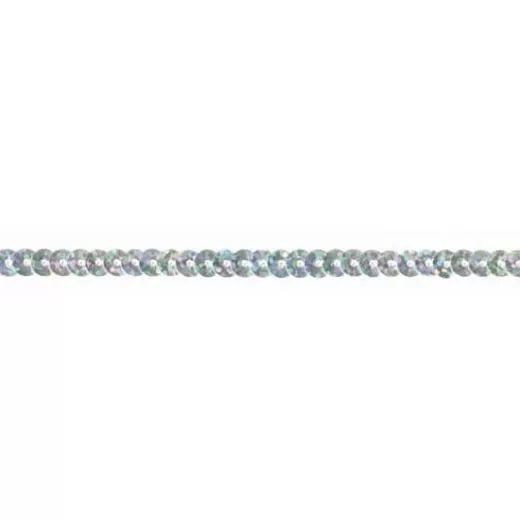 Sequin Trim Iridescent - silver