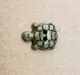 Knopf Kunststoff "Schildkröte" - 15 mm