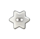 Knopf Silberner Stern