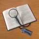 BoaMag Magnifying Glass with flexible gooseneck