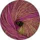 ONline Linie 359 - Fano 157