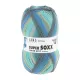Lang Yarns Super Soxx Color 6-fach - PowPow