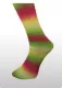 Ferner Lungauer Sockenwolle 4fach - 949-26
