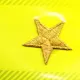 Applikation Stern - gold