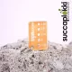 Succaplokki Keychain Needle Gauge Tiny - orange