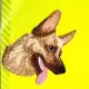 Applikation Schäferhundkopf