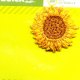 Applikation Sonnenblume