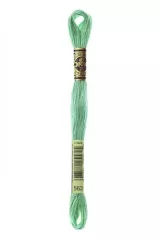 DMC Stickgarn Mouliné Spécial 563