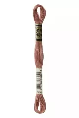 DMC Stickgarn Mouliné Spécial 3859