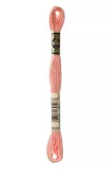 DMC Stickgarn Mouliné Spécial 3824