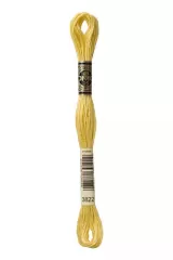 DMC Stickgarn Mouliné Spécial 3822