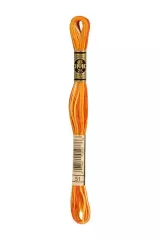 DMC Stickgarn Mouliné Spécial 51