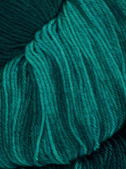 Araucania Huasco Sock Kettle Dyes 1005