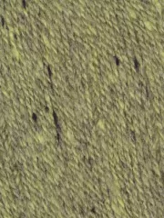 Kathmandu Fingering 05 - Queensland