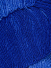Araucania Huasco Sock Kettle Dyes 1006