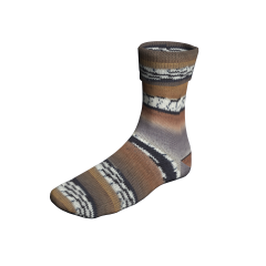 Lang Yarns Super Soxx Color 6-fach - HotChocolate