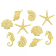 Dress It Up - Beach Beauties