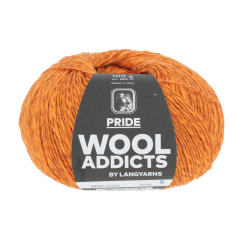 Pride Wooladdicts 59 - Lang Yarns
