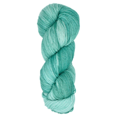 Araucania Huasco Sock Kettle Dyes 1020