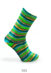Katia Kanerva 6ply - 103