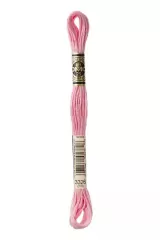 DMC Stickgarn Mouliné Spécial 3326