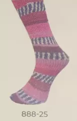 Lungauer Socks Yarn 8 ply 888-25