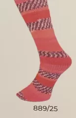 Lungauer Socks Yarn 8 ply 889-25