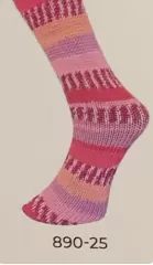 Lungauer Socks Yarn 8 ply 890-25