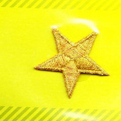 Applikation Stern - gold