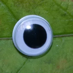 RH Wackelaugen - 10 mm