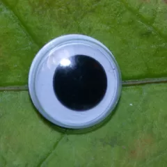 RH Wackelaugen zum Annähen 14 mm