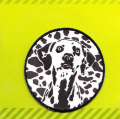 Applique Wildlife Dalmatian