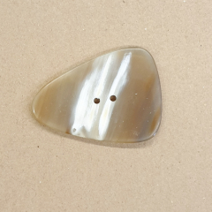 Großer Dreieckiger Hornknopf